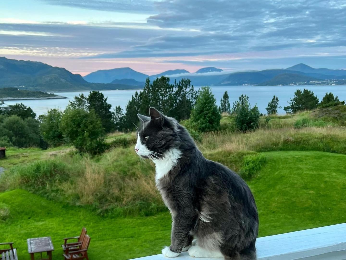 Apartament Wake Up To A Beautiful View And Smell Of The Sea Kristiansund Zewnętrze zdjęcie