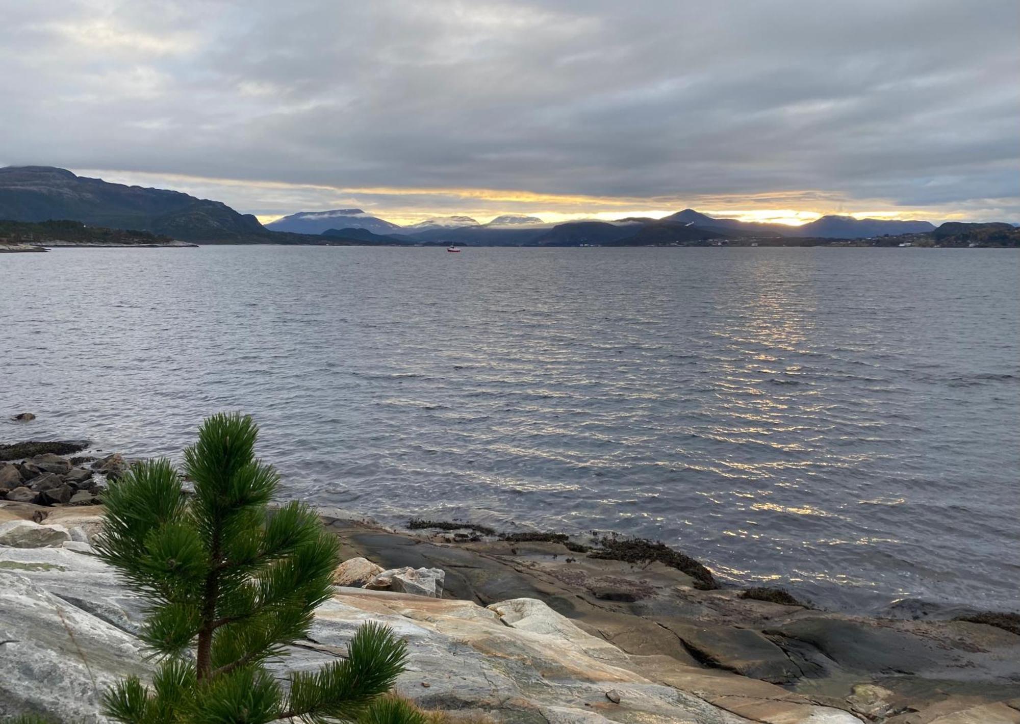 Apartament Wake Up To A Beautiful View And Smell Of The Sea Kristiansund Zewnętrze zdjęcie